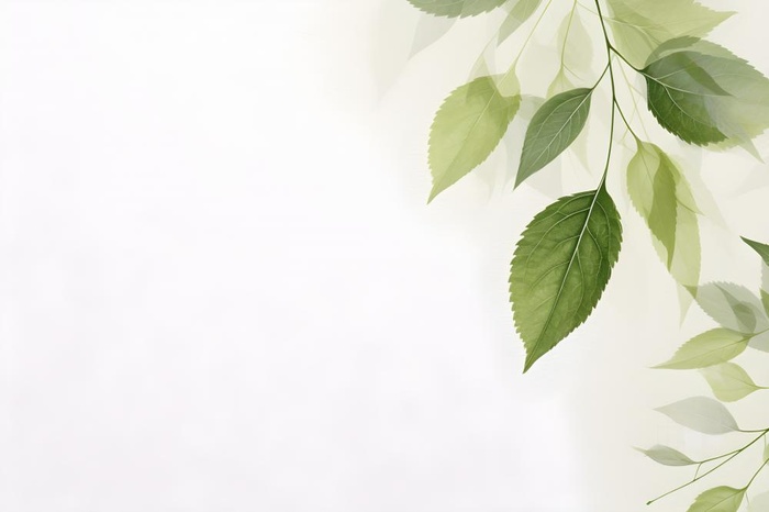 简约清新树叶纹理背景