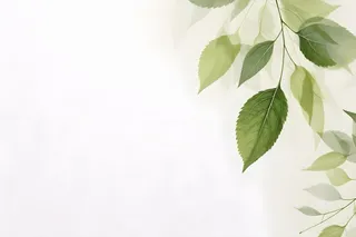 简约清新树叶纹理背景