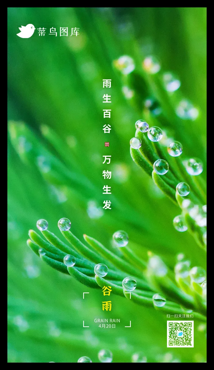 清新简约绿色传统节气 谷雨