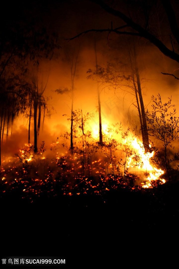 森林发生火灾高清图片