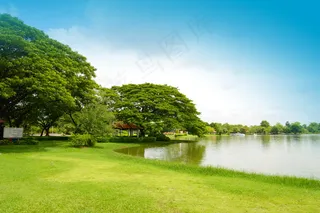 绿色公园风景图片
