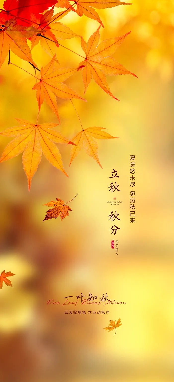 立秋节气海报