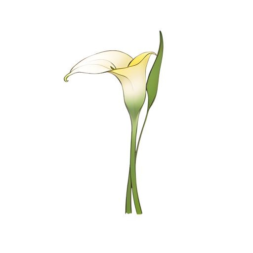 花马蹄莲免抠