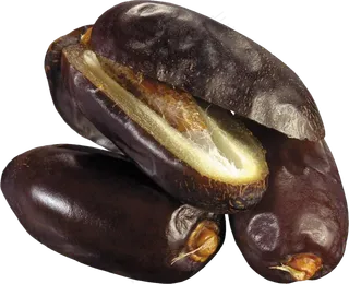 海枣免抠素材 (20)