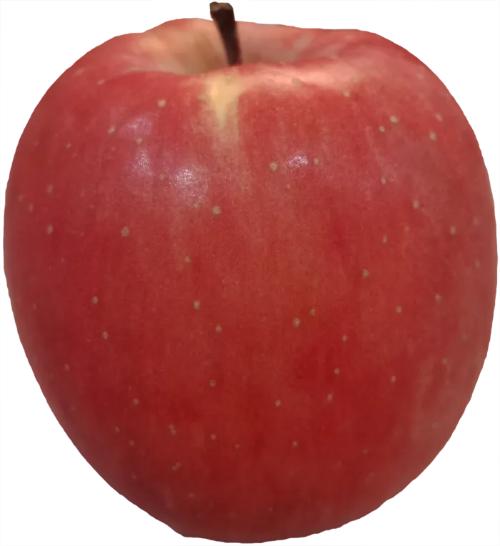 平安果大果红苹果实拍免抠摄影元素素材psd模版下载