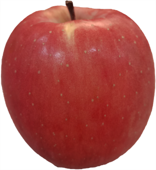 平安果大果红苹果实拍免抠摄影元素素材