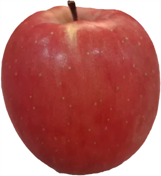 平安果大果红苹果实拍免抠摄影元素素材