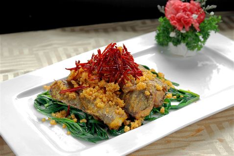 XCXC0215避风塘耗儿鱼