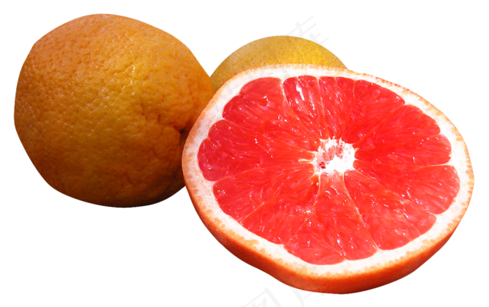 橙子免抠素材 (31)