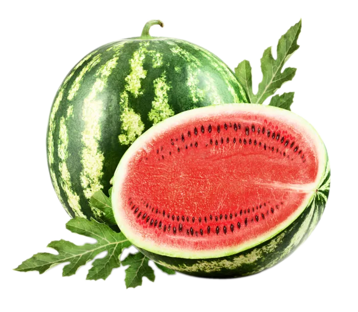 夏日西瓜小暑大暑免抠元素