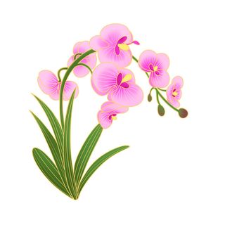 国潮风立体浮雕金边手绘花朵花卉PSD设计PNG免扣图片元素素材