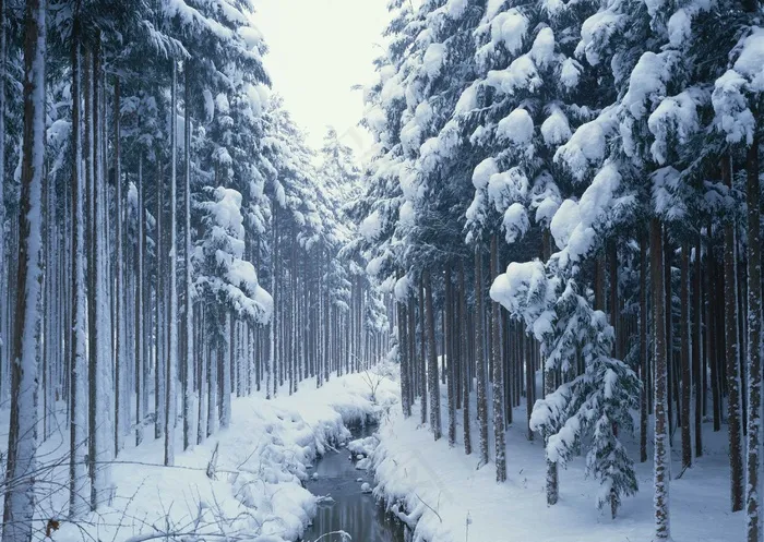 冰天雪地 188
