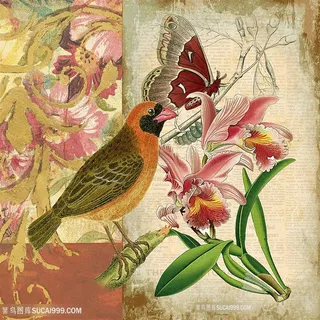 欧式花鸟装饰画