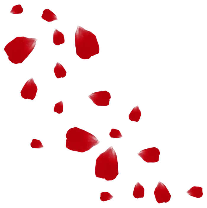 花瓣 免抠 漂浮 花瓣元素