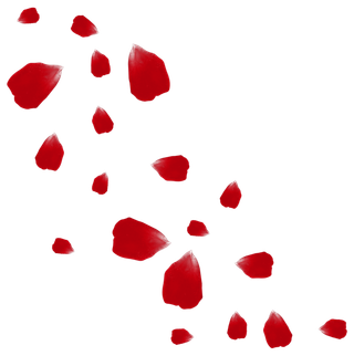 花瓣 免抠 漂浮 花瓣元素