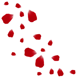 花瓣 免抠 漂浮 花瓣元素