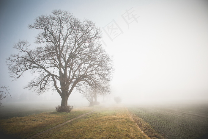 大雾天图片