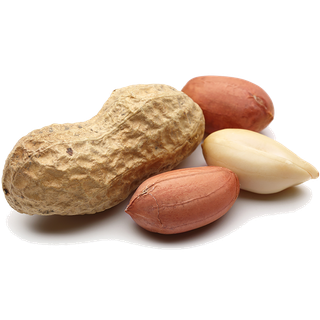 花生 (3)干果超市商品白底图免抠实物摄影png格式图片透明底