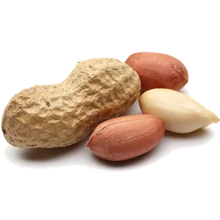 花生 (3)干果超市商品白底图免抠实物摄影png格式图片透明底