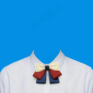 西装模板  女生西装 寸照模板 西装 证件照 西服 免抠 