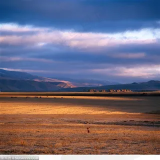 草原上美丽的夕阳