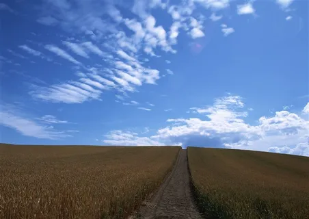 蓝蓝的天上白云飘概念素材 蓝蓝的天上白云飘概念素材