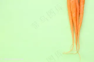 新鲜的胡萝卜图片