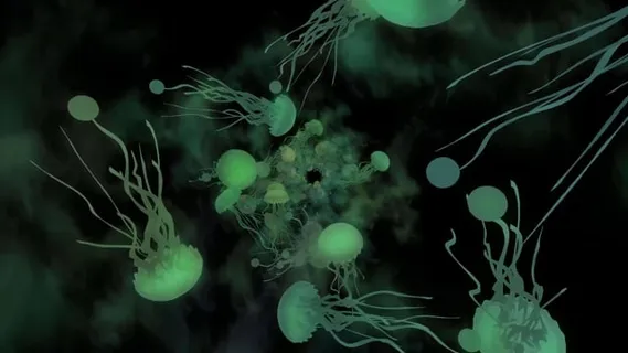 海蜇, 海, 绿色, 水生动物, 滑溜的, 动物, 海滩