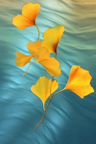 简约大气渐变落叶黄色秋叶背景