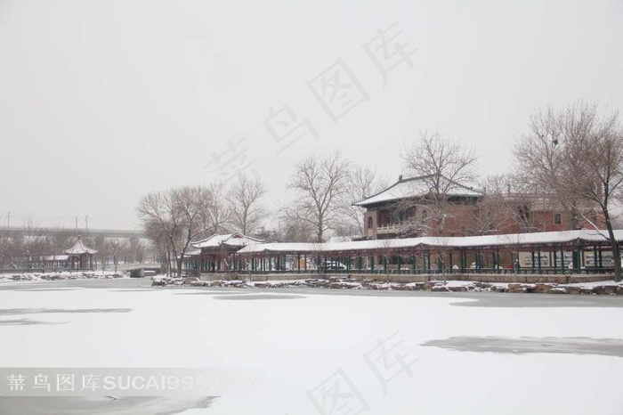 天津北宁公园雪景壁纸素材