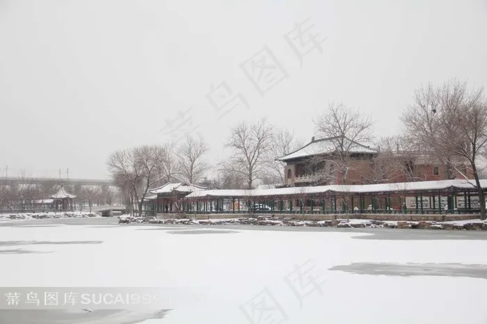天津北宁公园雪景壁纸素材
