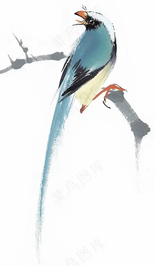 国画鸟国画图片美图素材