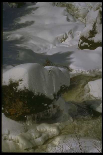 冰天雪地 652