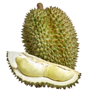 榴莲 (9)水果超市商品白底图免抠实物摄影png格式图片透明底