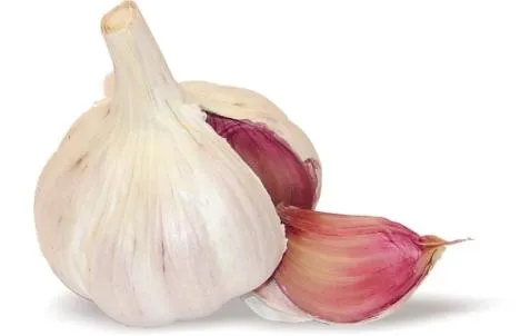 大蒜免抠(468x302)