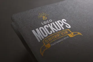 LOGO展示效果样机