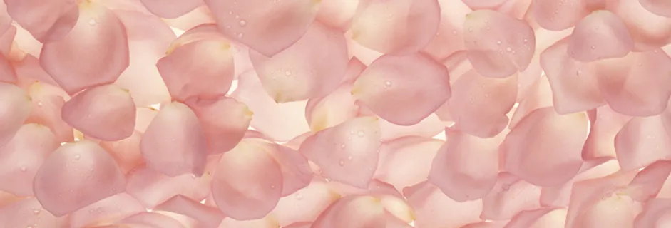 J147-67-大幅风景73