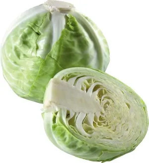 卷心菜 PNG免抠