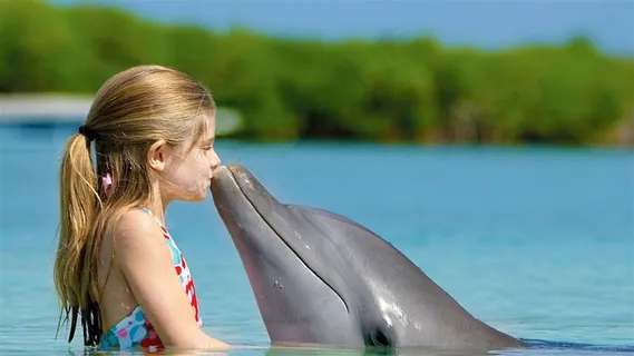 人与自然人与海豚亲吻湖泊唯美图片