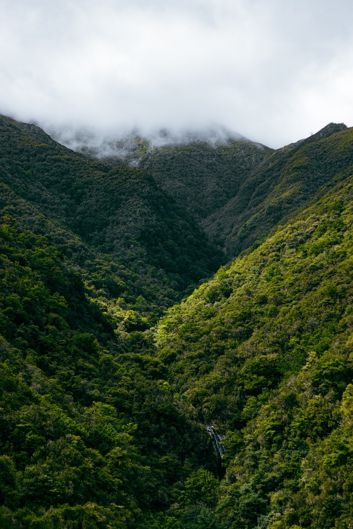 绿水青山风景