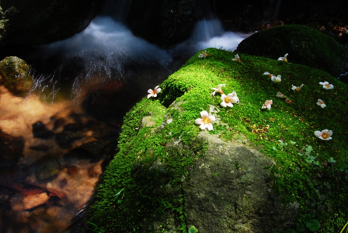 山野风景素材图片下载