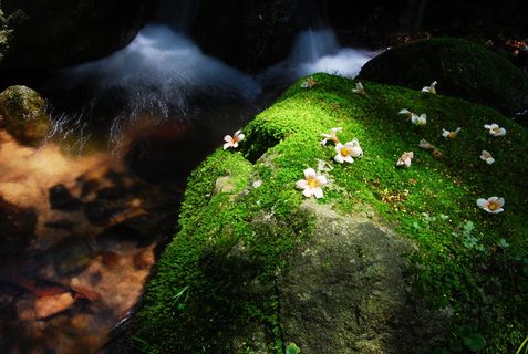 山野风景素材图片下载