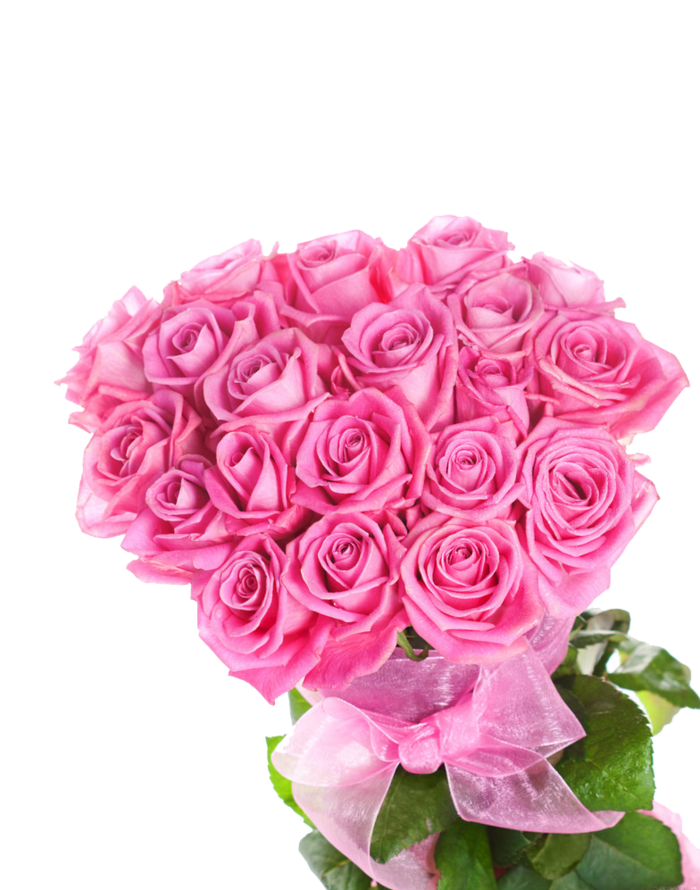 免抠粉色玫瑰，花束，靓丽