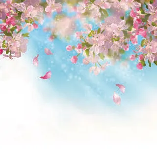 欢迎春天到花开风景 欢迎春天到花开风景
