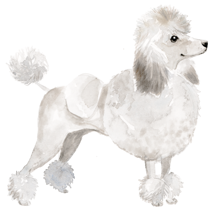 狗狗水彩画插画免扣素材可爱宠物狗