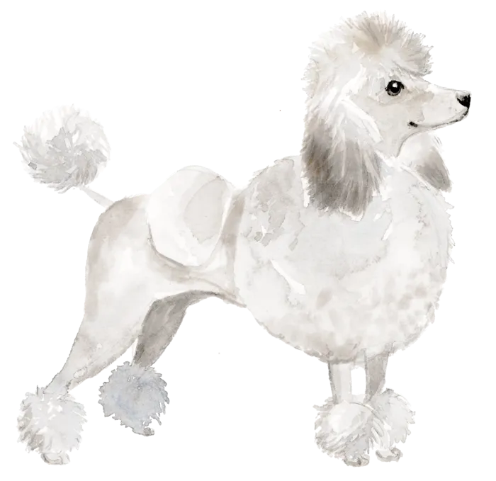 狗狗水彩画插画免扣素材可爱宠物狗