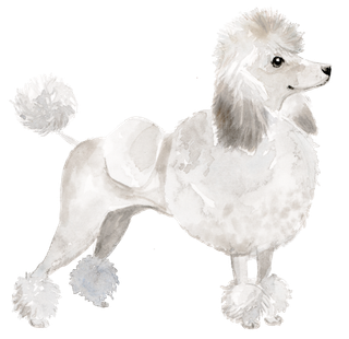 狗狗水彩画插画免扣素材可爱宠物狗