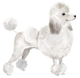 狗狗水彩画插画免扣素材可爱宠物狗