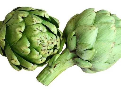 洋蓟 PNG免抠(1024x768)