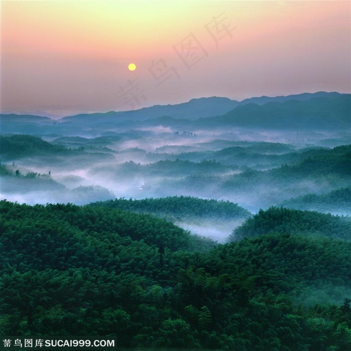 群山山脉- 竹海上方升起的一轮红日